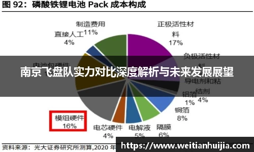 南京飞盘队实力对比深度解析与未来发展展望